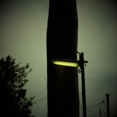 DSCF0211