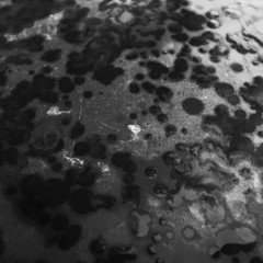 R0021669