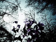 R0020359 R0020359