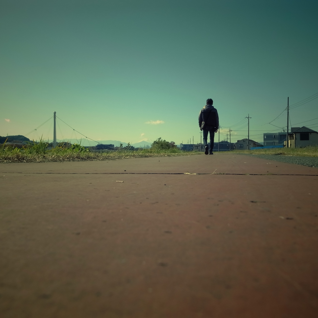 歩くのらねこ鳴いた