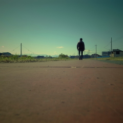 歩くのらねこ鳴いた