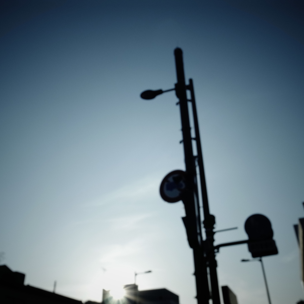 ぼくが見るもの