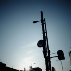 ぼくが見るもの