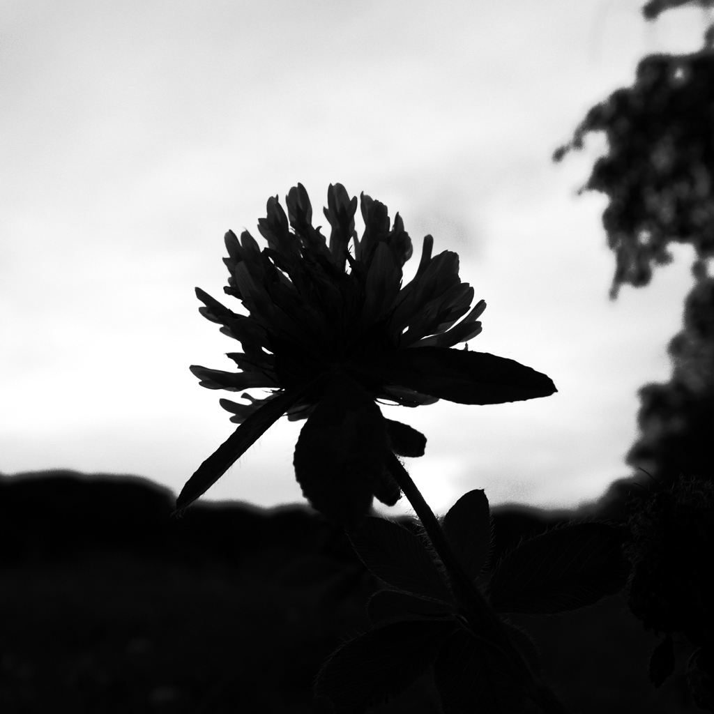 R0021704