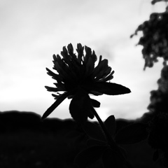 R0021704