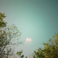 R0021842