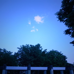 R0021063