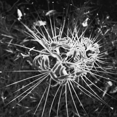 R0021699