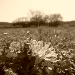 R0022011