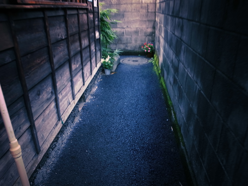 路地裏シリーズ