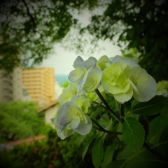 DSCF0048