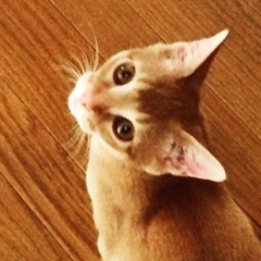 むぎ