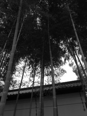 竹と蔵