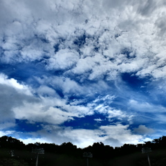 DSCF0022