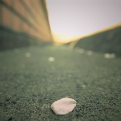 R0020191