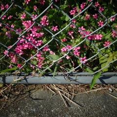 R0017079