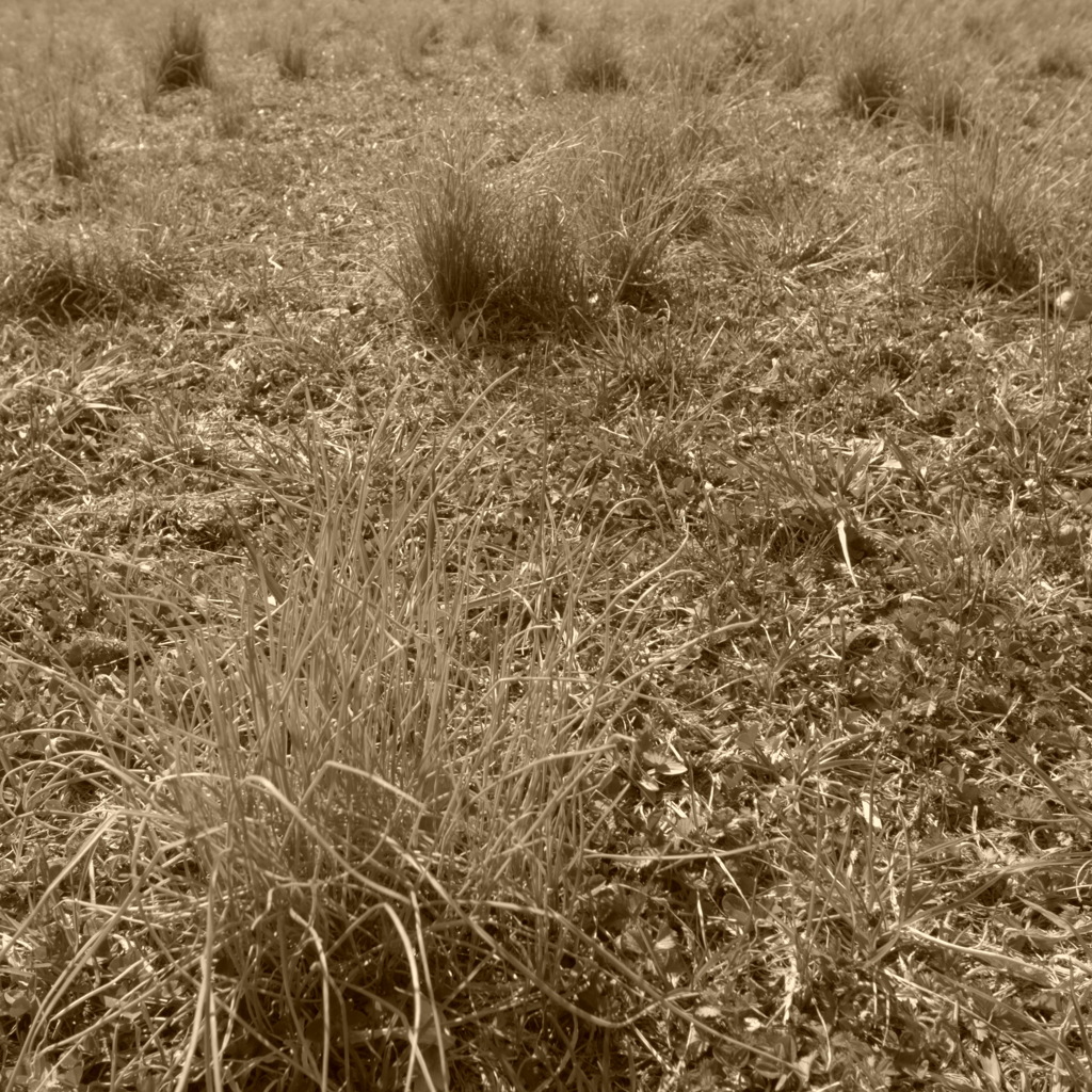 R0022012