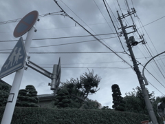 ７月３日の散歩28