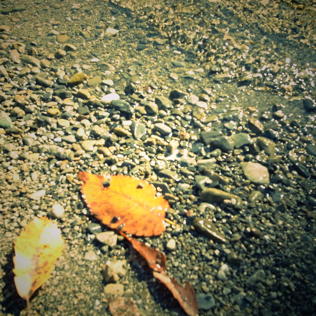 水際に辿り着いた