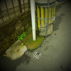 DSCF0063