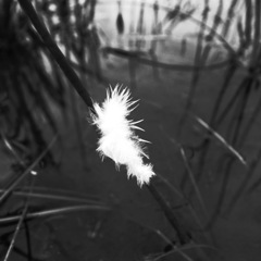 R0021311