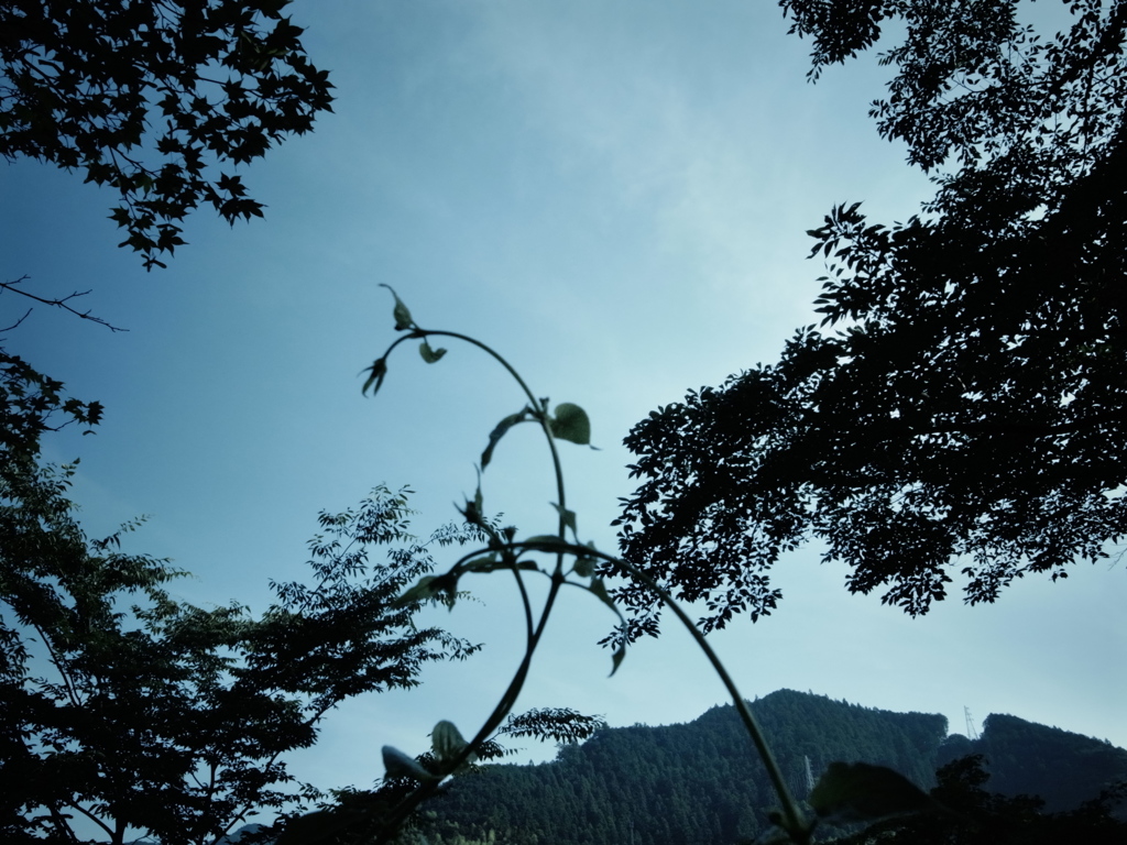 ７月の空2