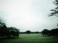 公園