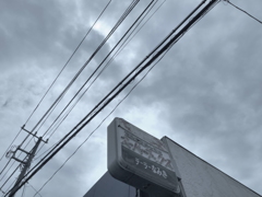 ７月３日の散歩6