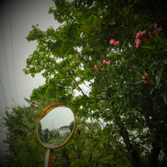 DSCF0221