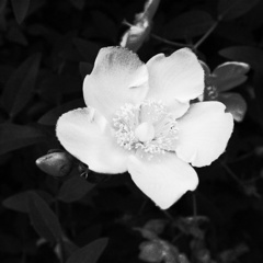 R0022231