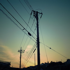 電線大好き☆