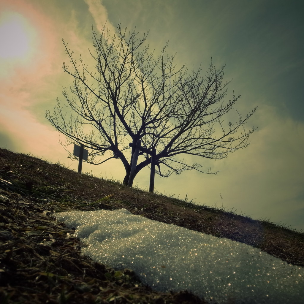 まだ残る雪