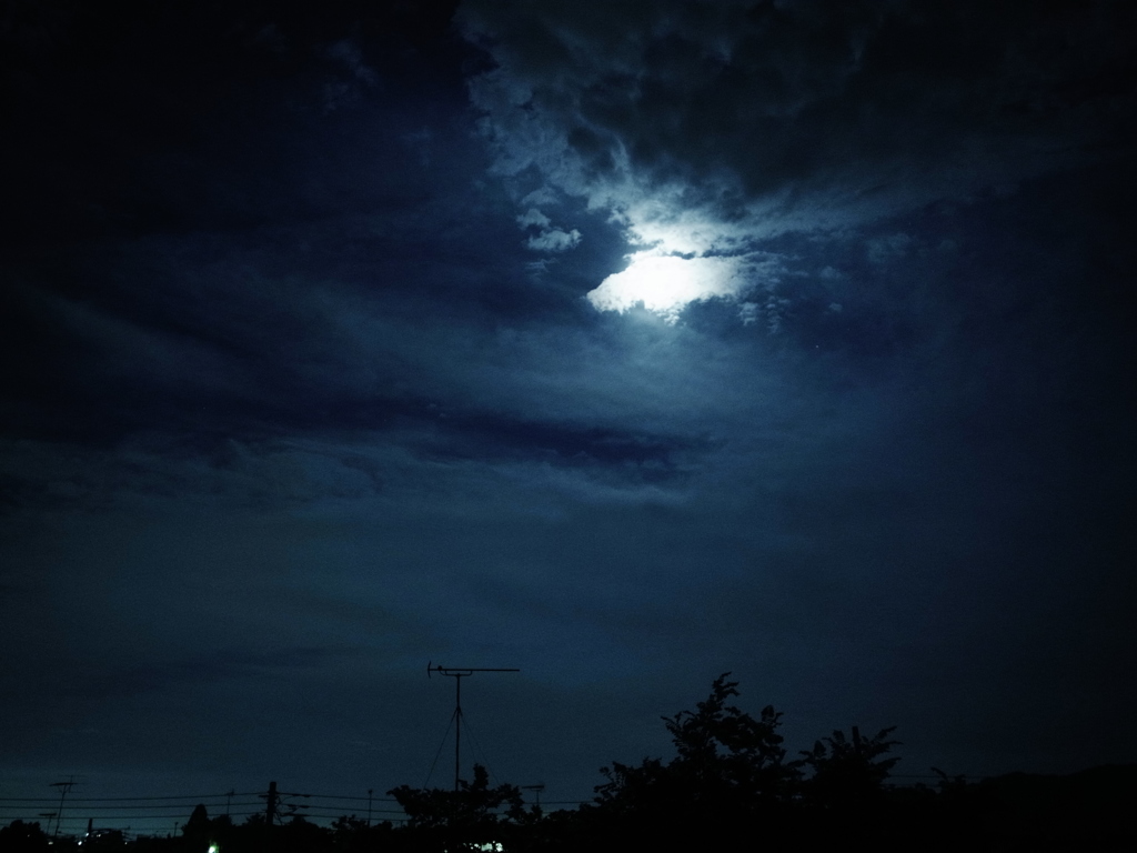 青い夜2