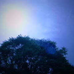 R0021002