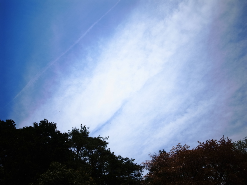 ぼくの憂鬱と天気→時々晴れ2