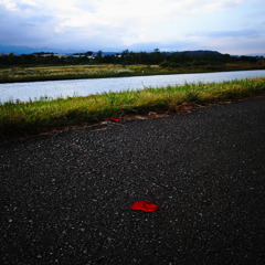 R0021740