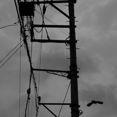 DSCF0219