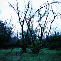 R0021508