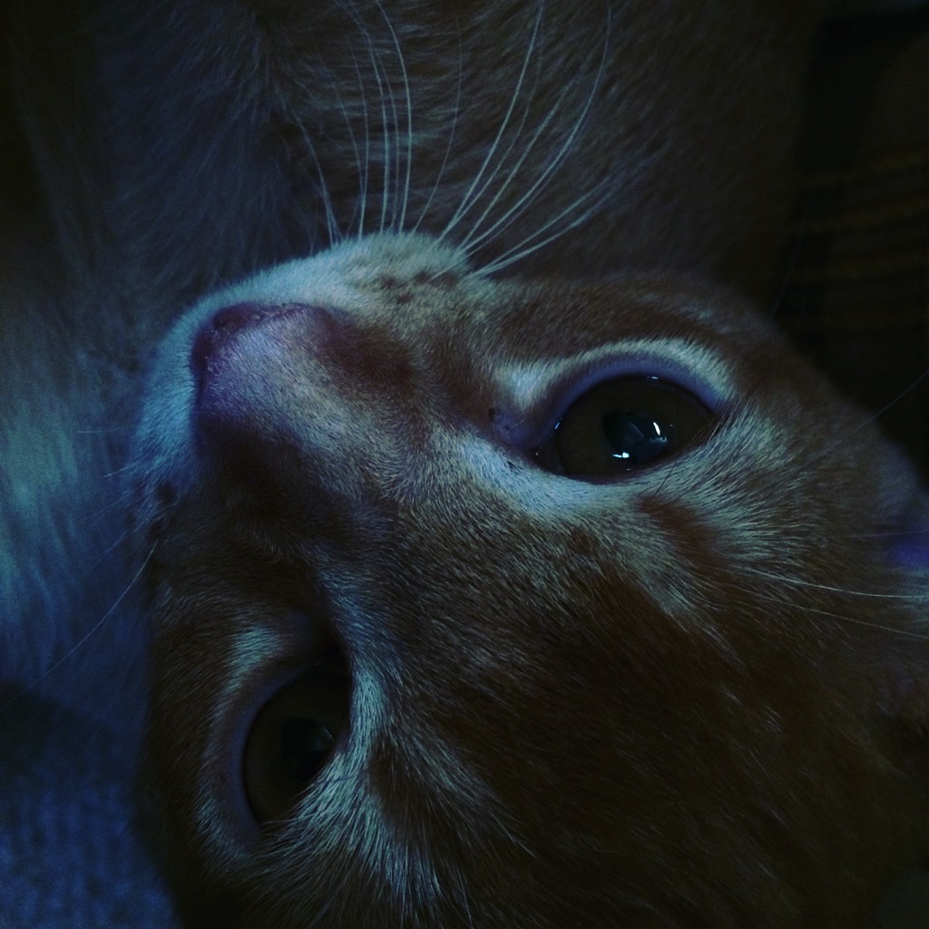 むぎ