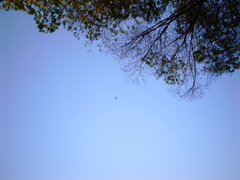 R0020255