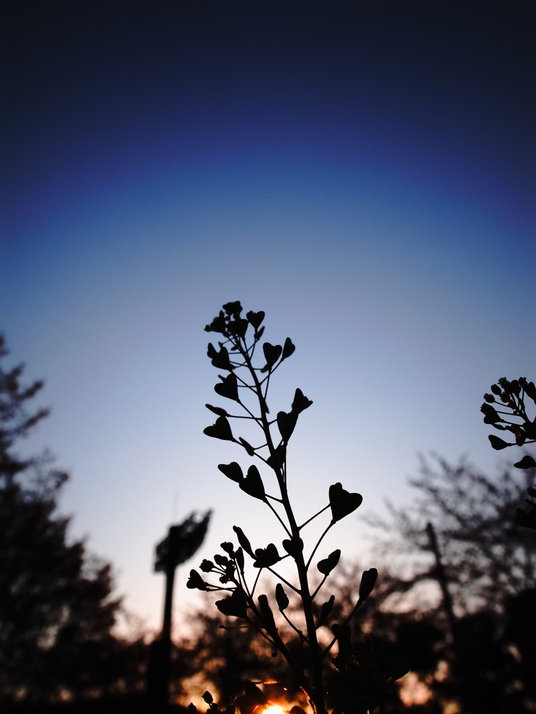 R0020306