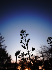 R0020306