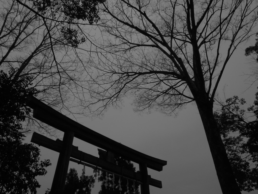 鳥居下の冷気