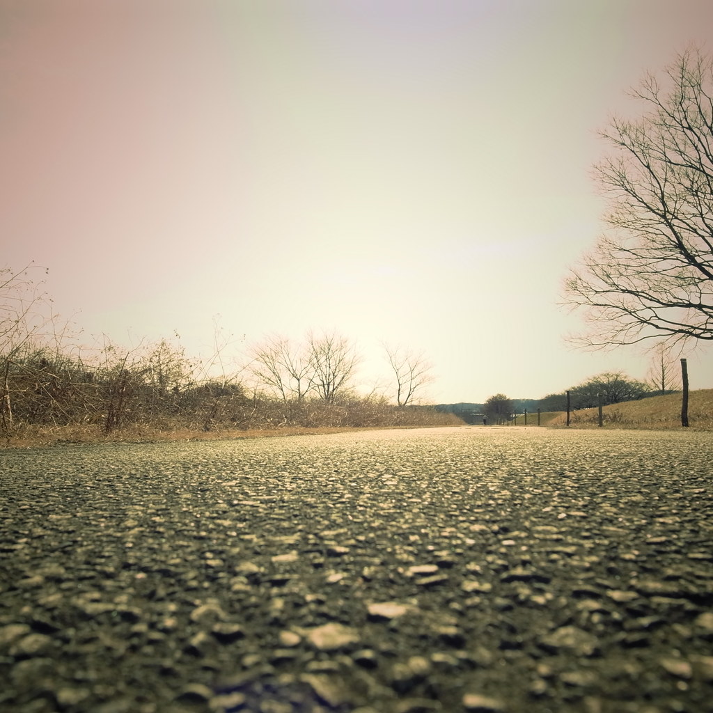 アスファルトの硬さで