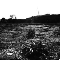 R0021982