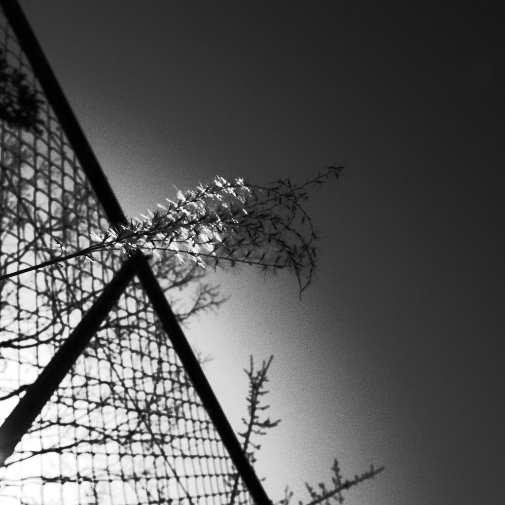 R0019118