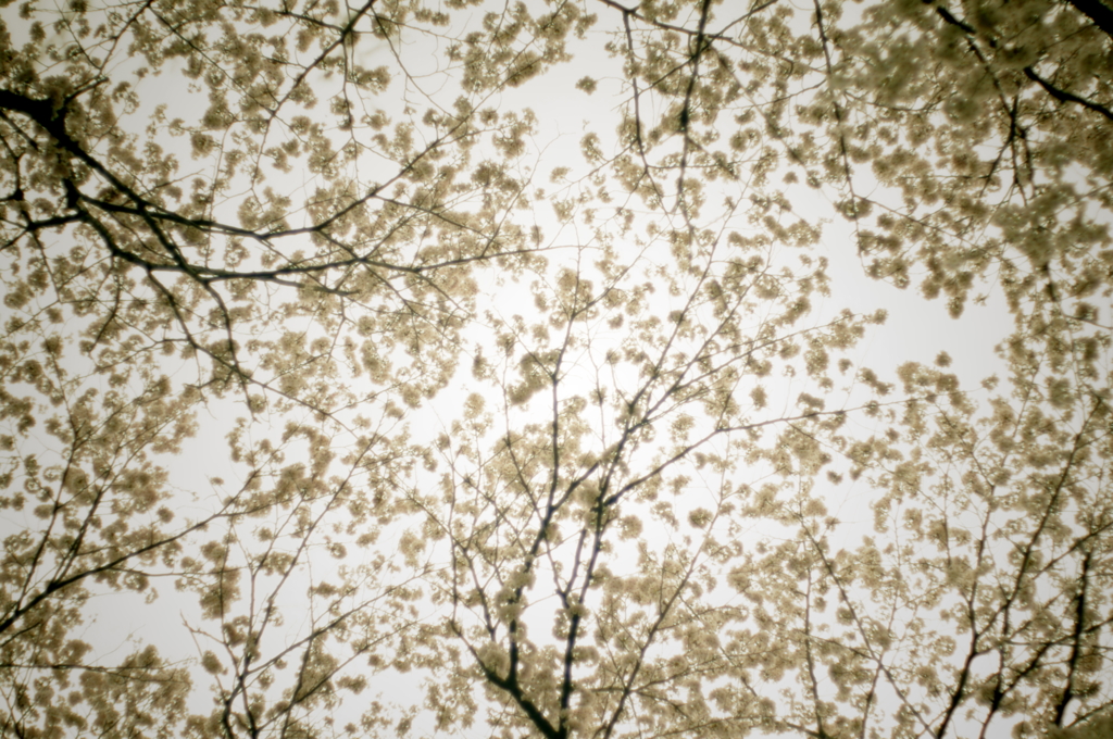 IMGP5319
