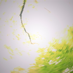 R0021623