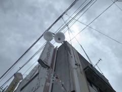 ７月３日の散歩12