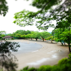 DSCF0032